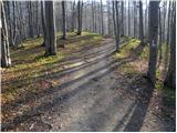 Kraljev hrib - Gradišče (Velika planina)